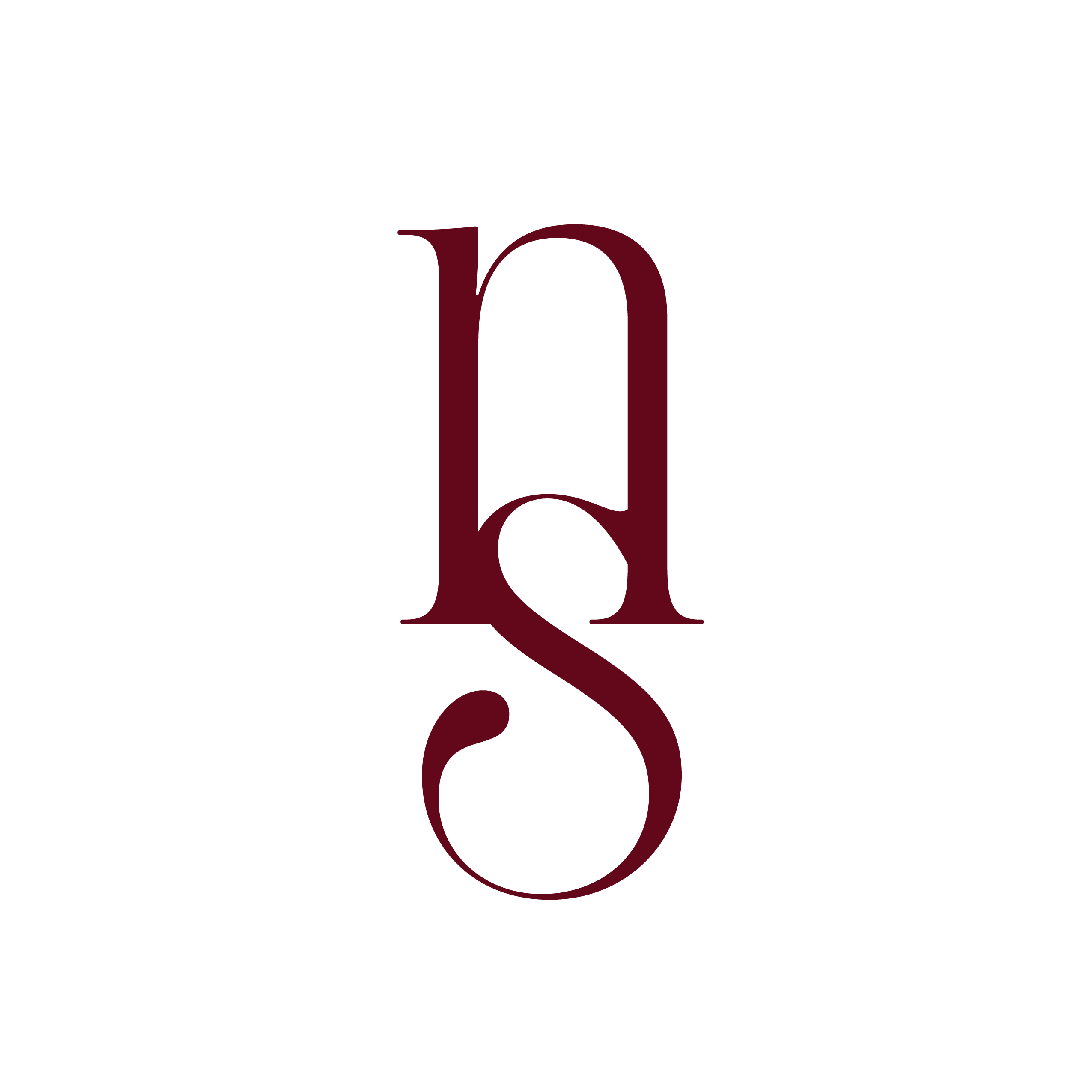 NétStudio monogram logo